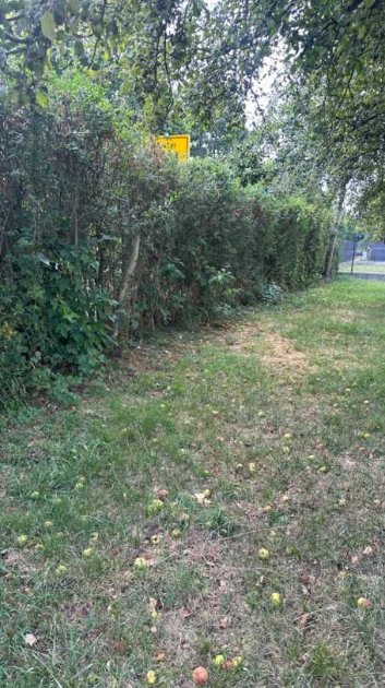 Trimovati zivu ogradu u Doboj