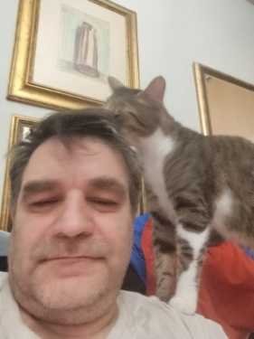 Semir Sinanovic - Moler, Ostalo | iNeed.ba