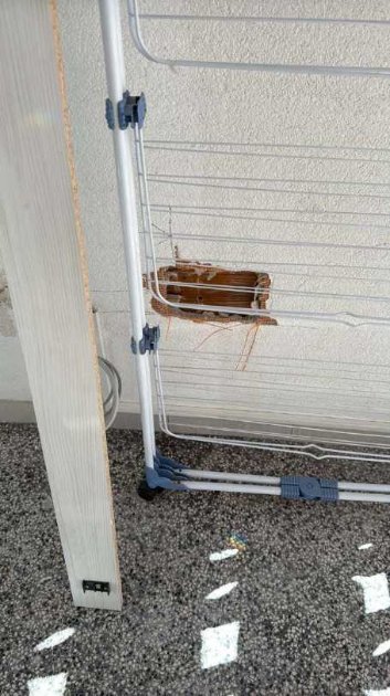 Navlacenje Edel Pulza u Sarajevo