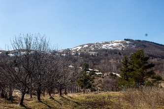 Džulejbib Imamović - Krovopokrivač, Moler, Izolater, Zidar, Radnik na rušenju | iNeed.ba